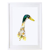 Indian Runner Duck Art Print by Lola Design - Lola Design Ltd