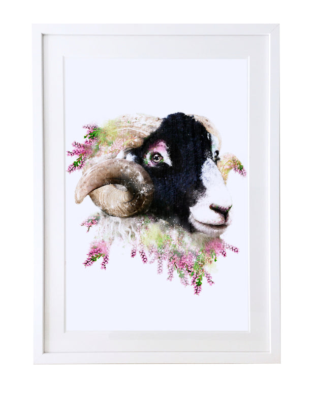 Ram Art Print - Lola Design Ltd