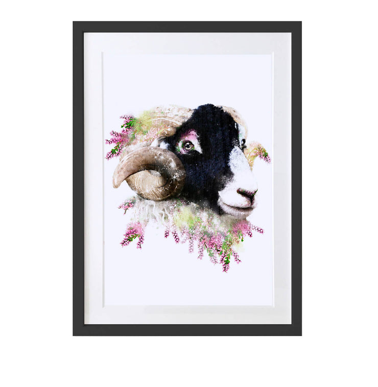 Ram Art Print - Lola Design Ltd