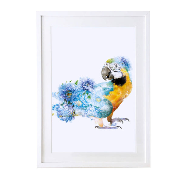 Parrot Art Print - Lola Design Ltd