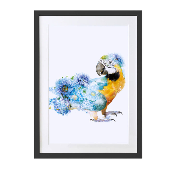 Parrot Art Print - Lola Design Ltd