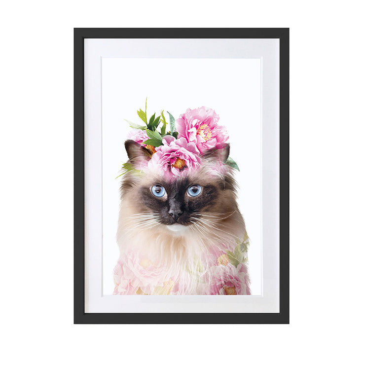 Rag doll cat art print