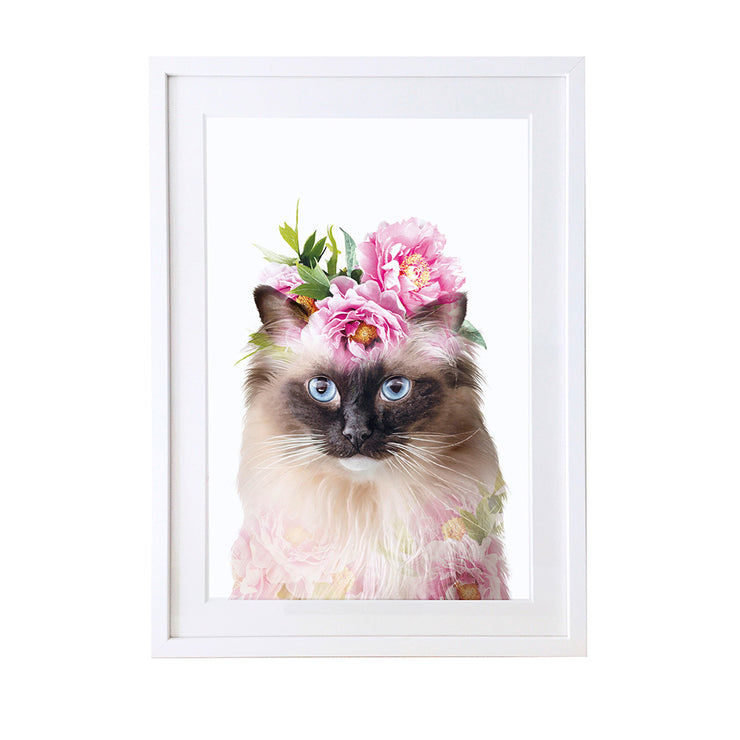 Rag doll cat art print