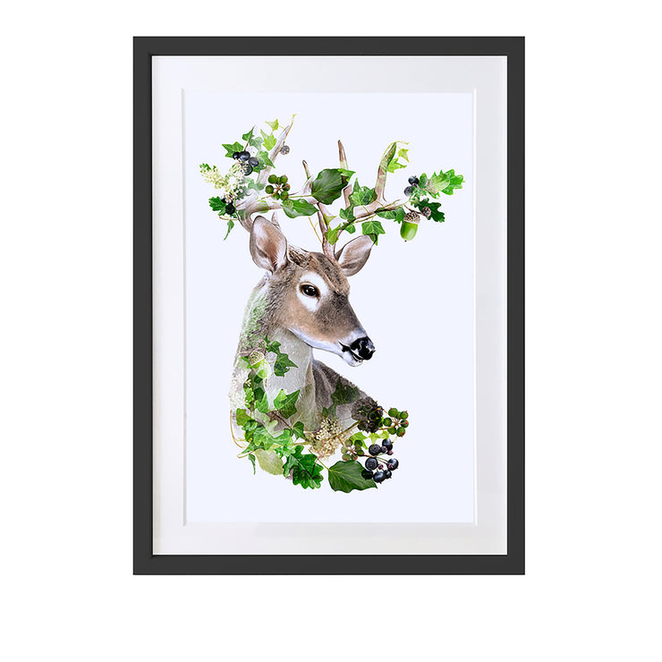 Stag Art Print by Lola Design - Lola Design Ltd