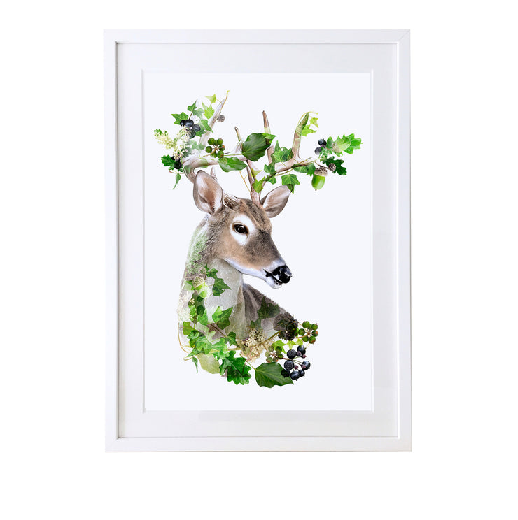 Stag Art Print by Lola Design - Lola Design Ltd