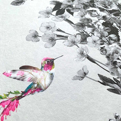 Hummingbird Black & White Stone Wallpaper Sample - Lola Design Ltd