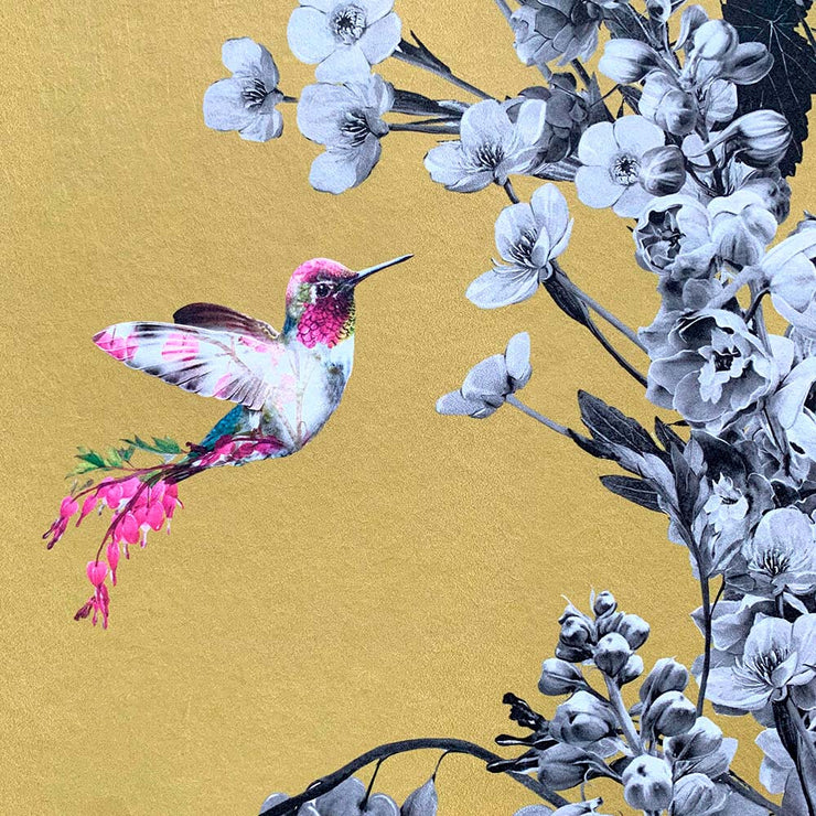 Hummingbird Black & White Mustard Wallpaper Sample - Lola Design Ltd