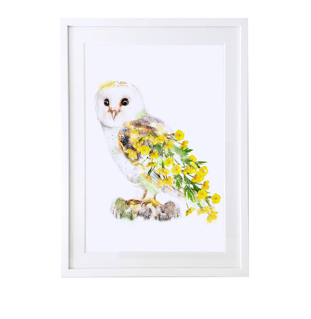 Owl Art Print - Lola Design Ltd