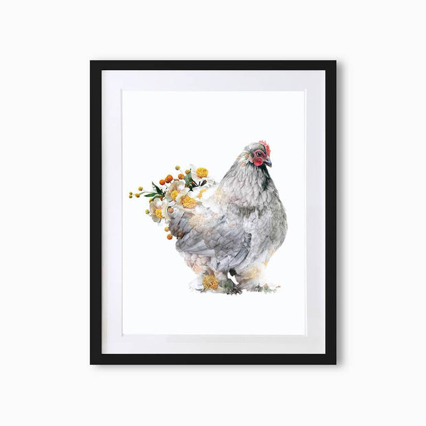 Brahma Hen Art Print - Lola Design Ltd