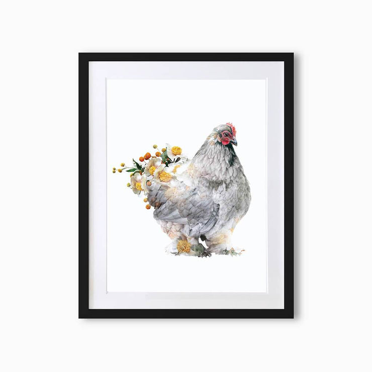 Brahma Hen Art Print - Lola Design Ltd
