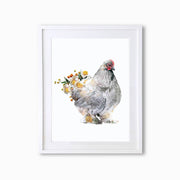 Brahma Hen Art Print - Lola Design Ltd