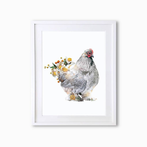 Brahma Hen Art Print - Lola Design Ltd