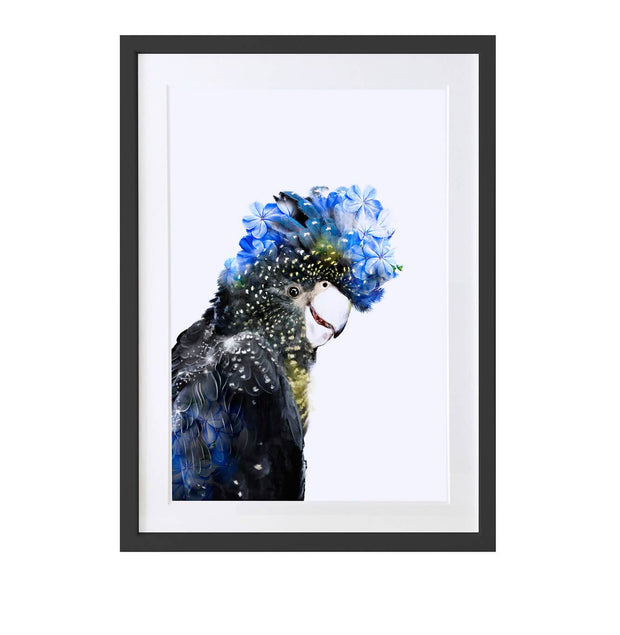 Red Tailed Cockatoo Art Print - Lola Design Ltd