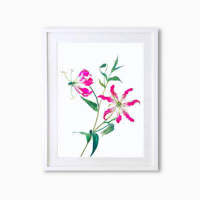 Fire Lily (Single Flower) Art Print - Lola Design Ltd