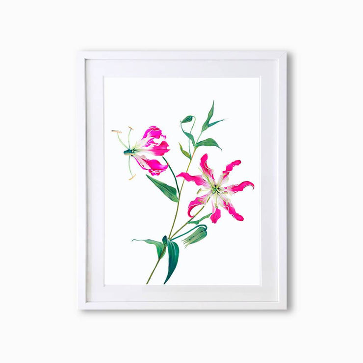 Fire Lily (Single Flower) Art Print - Lola Design Ltd