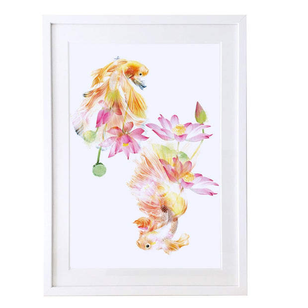 Japanese Fighting Fish Art Print - Lola Design Ltd