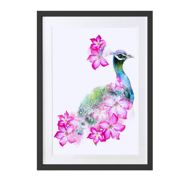 Peacock Art Print - Lola Design Ltd