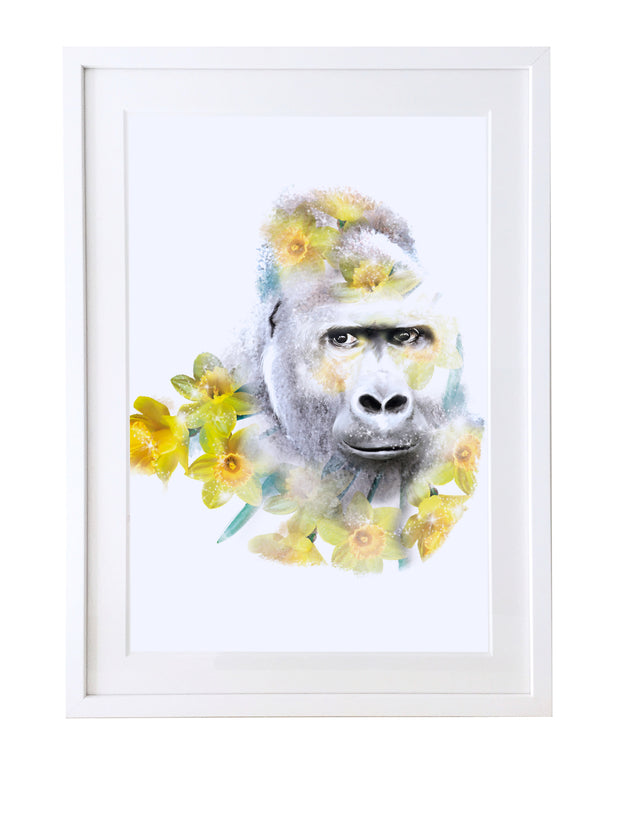Gorilla Art Print - Lola Design Ltd