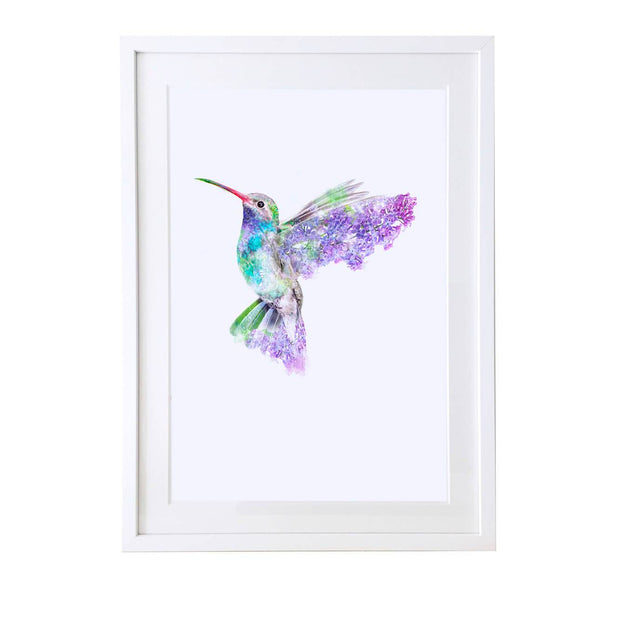 Hummingbird Art Print - Lola Design Ltd