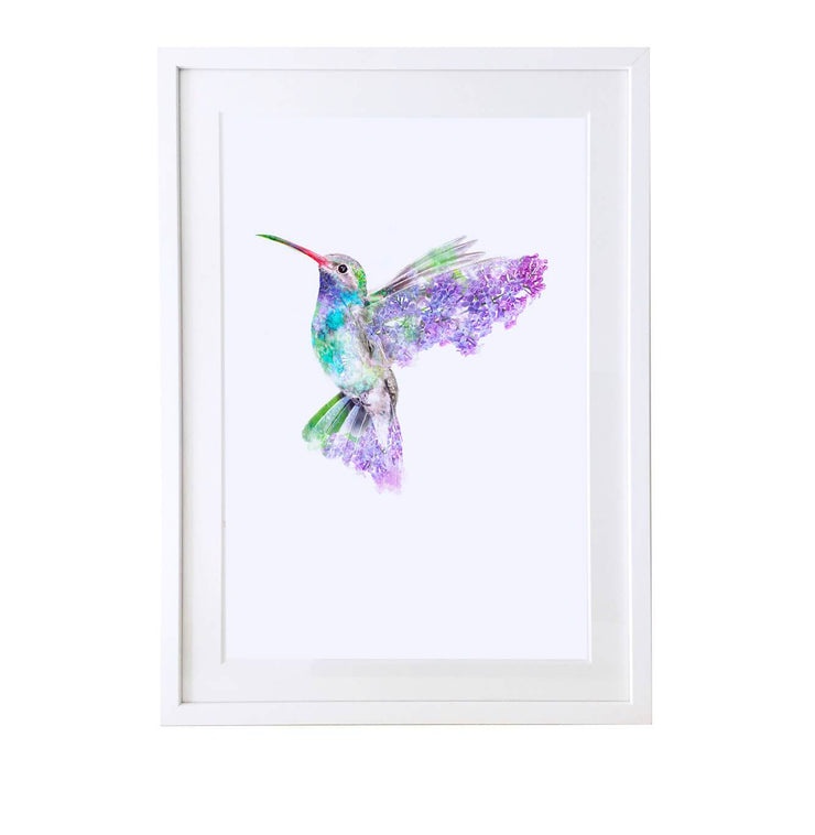 Hummingbird Art Print - Lola Design Ltd