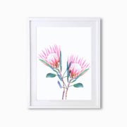 King Protea Botanique (Single Flower) Art Print - Lola Design Ltd