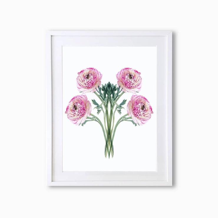 Ranunculus (Pattern) Art Print - Lola Design Ltd