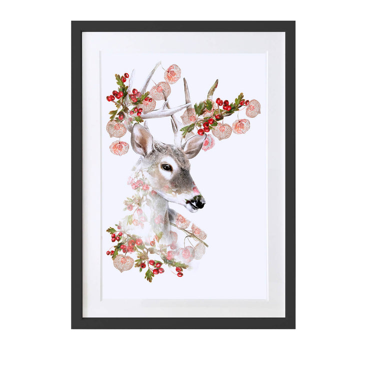 White Tailed Stag Art Print - Lola Design Ltd