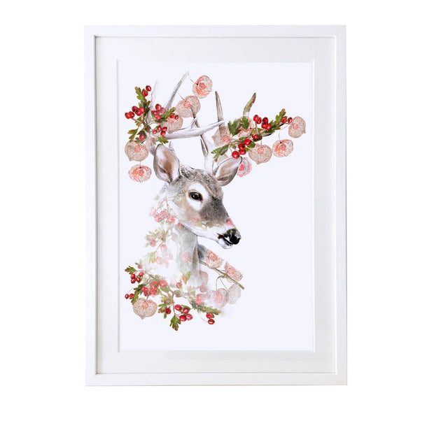 White Tailed Stag Art Print - Lola Design Ltd