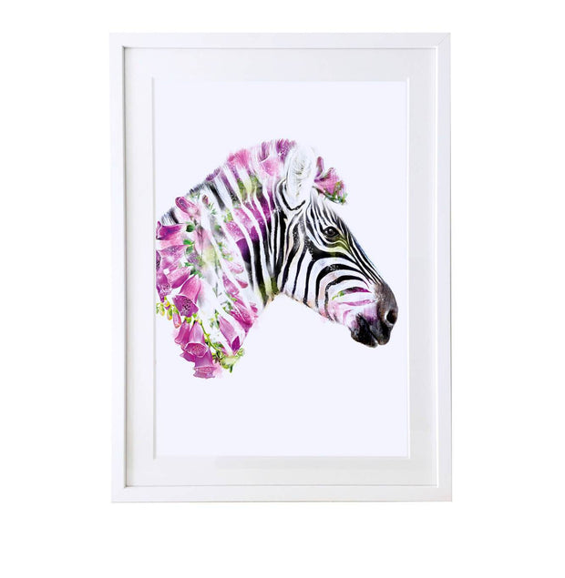 Zebra Art Print - Lola Design Ltd